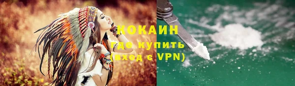 индика Березники