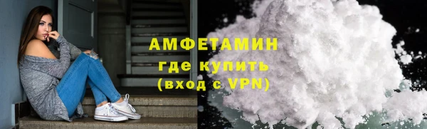 индика Березники
