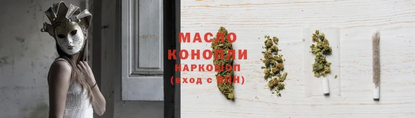 индика Березники