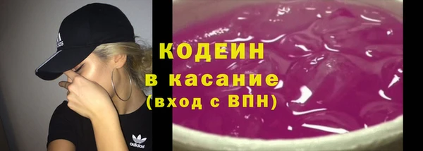 индика Березники
