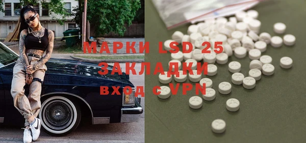 индика Березники