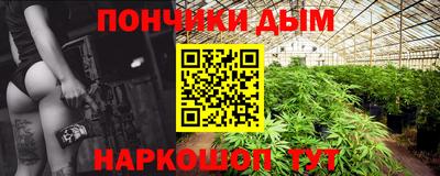 гидра Гатчина