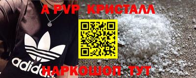 гидра Гатчина