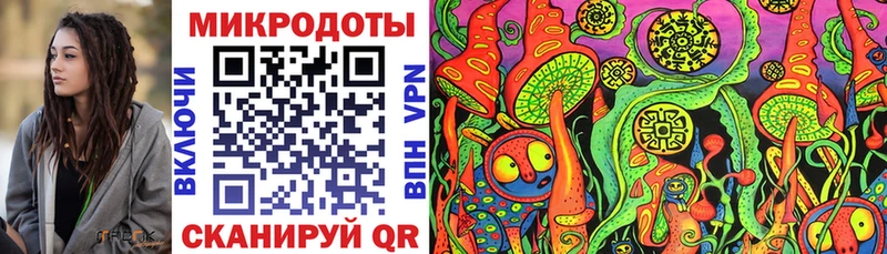 Псилоцибиновые грибы Cubensis Дивногорск
