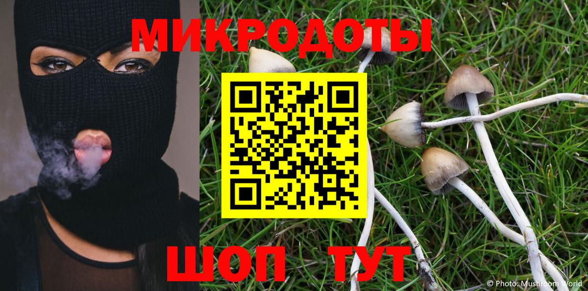 Галлюциногенные грибы GOLDEN TEACHER  Дивногорск  Псилоцибиновые грибы Psilocybine cubensis 