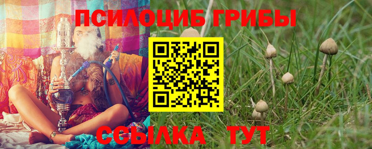 Псилоцибиновые грибы ЛСД Дивногорск