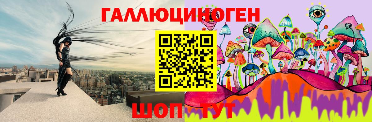 Галлюциногенные грибы мухоморы Дивногорск