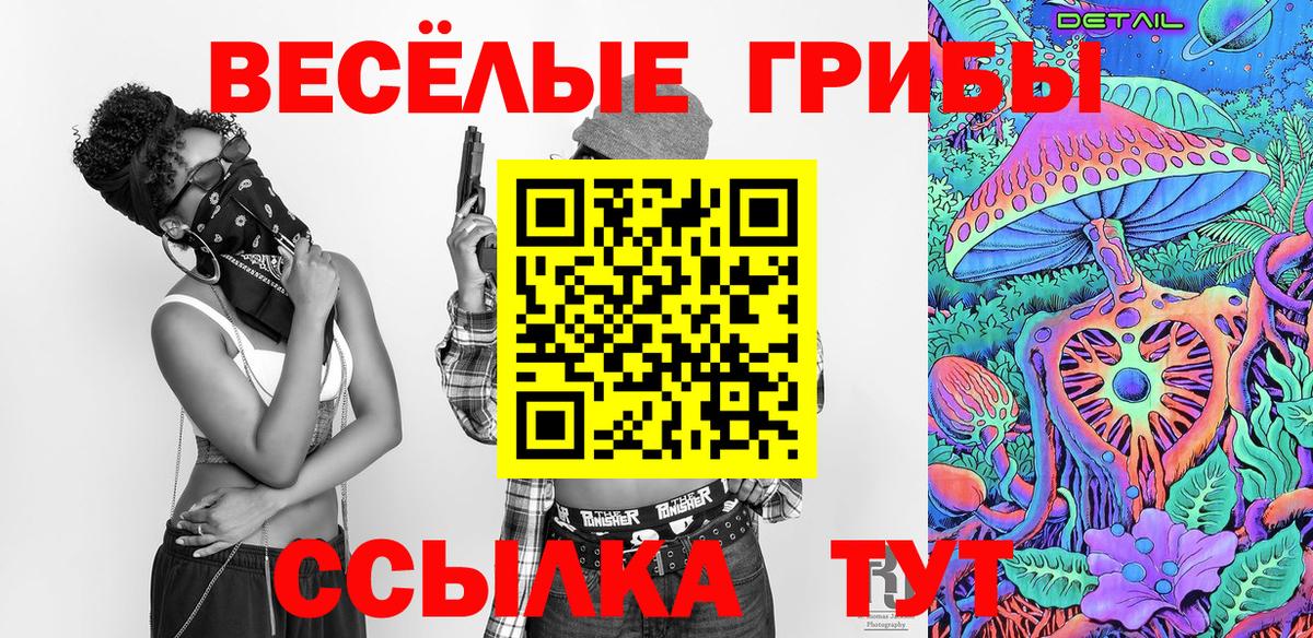 Дивногорск  Псилоцибиновые грибы Cubensis  Вход с VPN  Галлюциногенные грибы мухоморы 