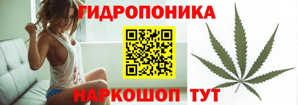 Канабис ГИДРОПОН  Канабис SATIVA & INDICA  Дивногорск  Вход с VPN  Бошки марихуана сатива 